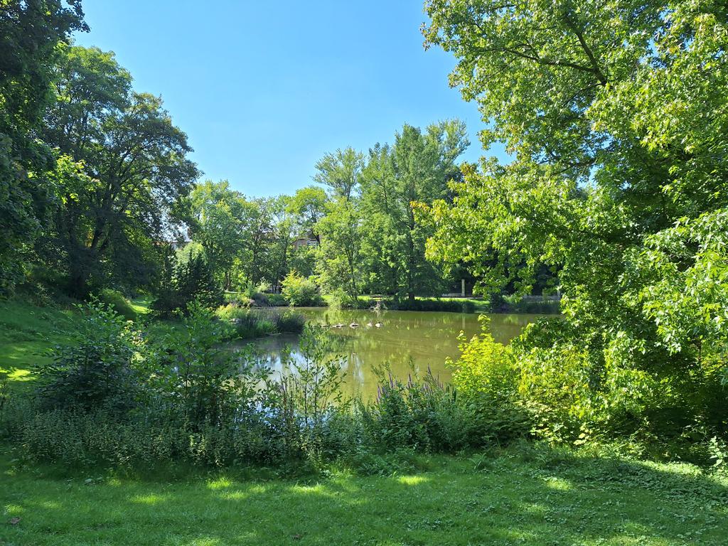 2 Zimmer Wohnung: Inselwall Bammelsburger Teich